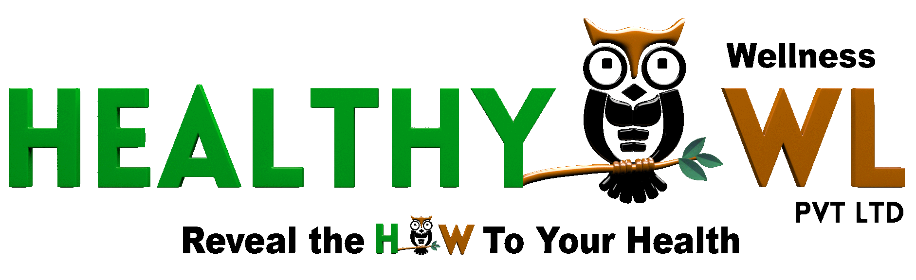 Logo-Healthy Owl Wellness