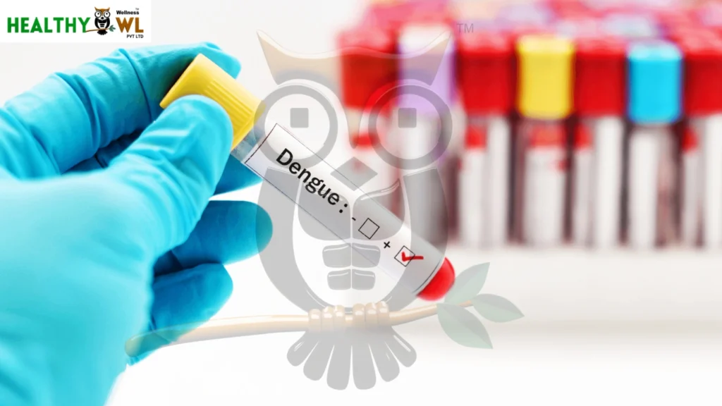 Bouncing Back from Dengue