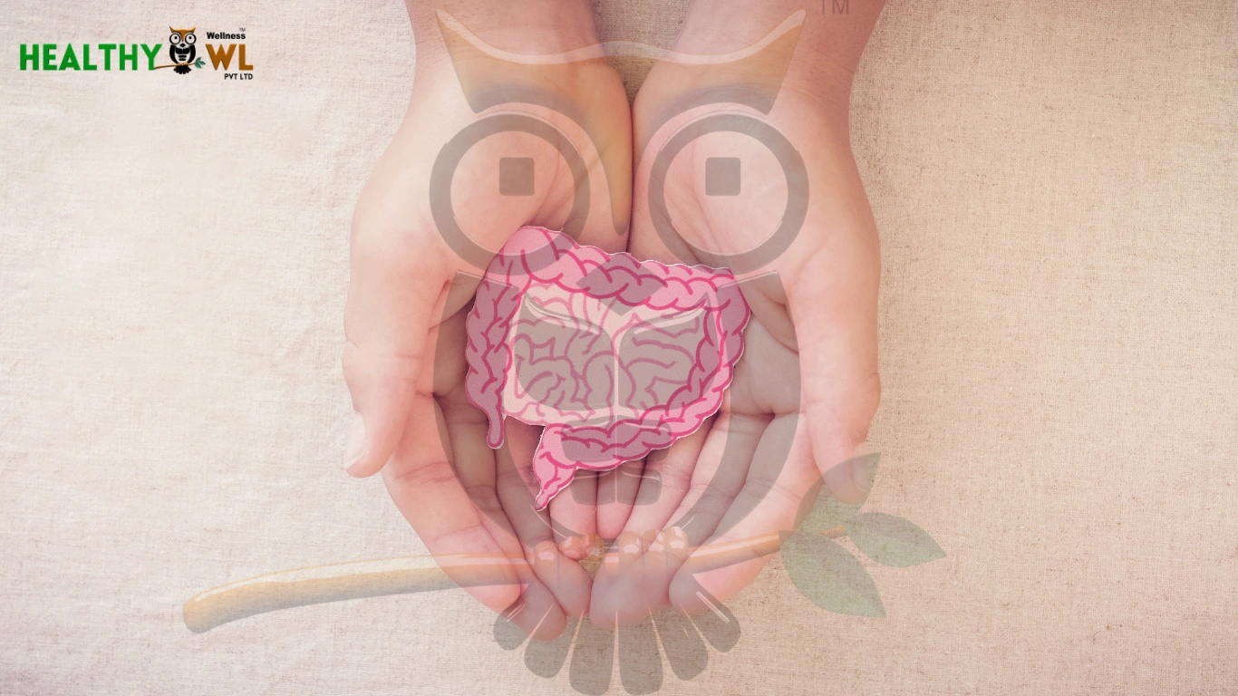 What to Eat to Reduce Bloating & Improve Digestion 