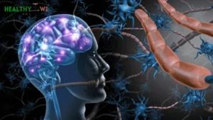 Gut connection with brain