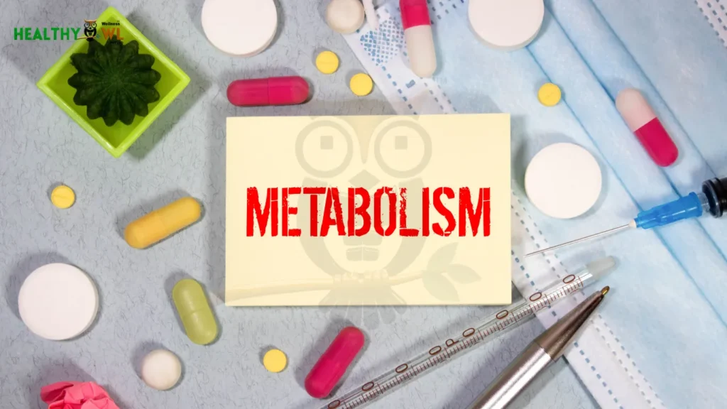 Metabolic confusion caused by repeated dieting and calorie restriction affecting weight loss metabolism
