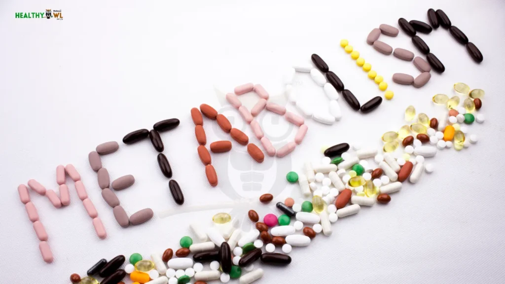 Illustration showing ectomorph, mesomorph, and endomorph body types with metabolism and diet differences explained.