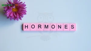 The Hidden Cost of Skipping Meals: What It Does to Your Hormones, Gut, and Mood 